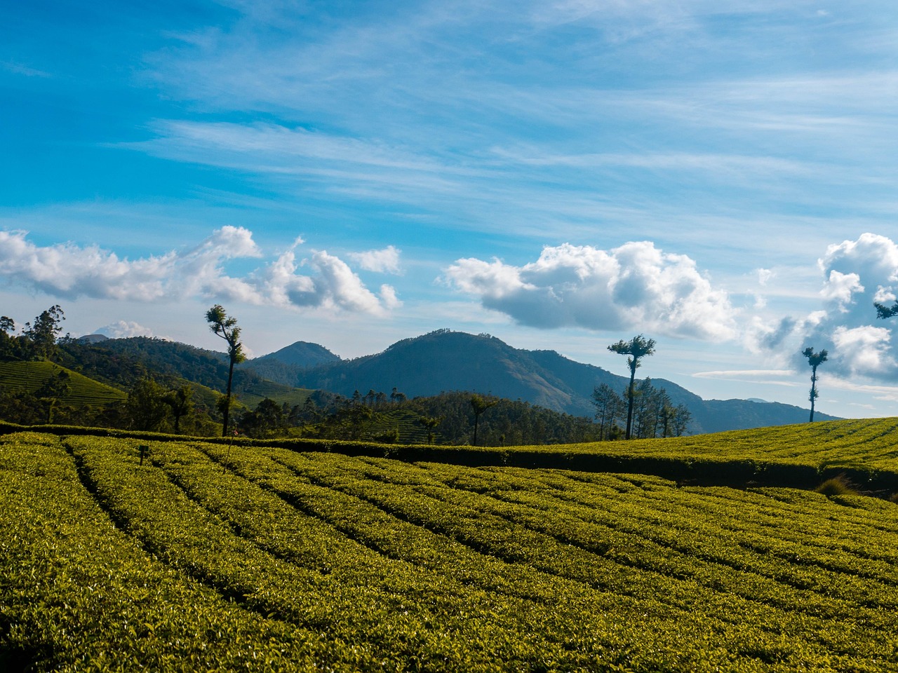 PhotoMuse Festival of Photography 2026 Brings 490 Artists from 31 Countries to Kerala - caleidoscope.in